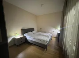 Comfort in UB