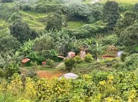 Kodaikanal dinosaur park and resorts, mannavanur