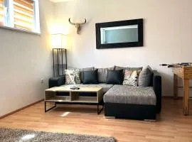 Kleine Wohnung im Mölltal