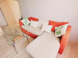 The comfortable Apartment