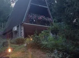 HOLIDAY HOME DRAGONFLY RIVER HOUSE on KORANA near PLITVICE and MREŽNICA