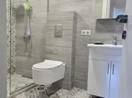 წეროვანი კომპოზიტორები, Rezo Lagidze's country house space