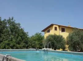 Dimore del Carrubo - loft ad Avola