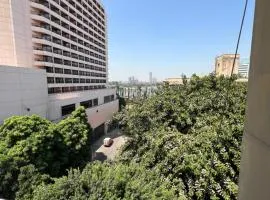 جاردن سيتى