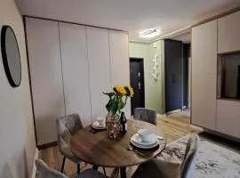 Apartament Oliwkowy