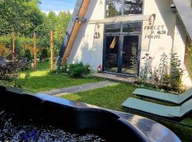 Forest A-frame-Porumbacu, wellness hotel v destinaci Porumbacu de Sus