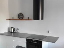 Apartament Moniuszki Centrum, allotjament amb cuina a Zielona G&oacute;ra
