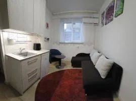 Kauno apartamentai 1 bed room