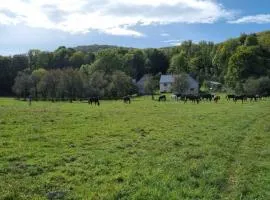 Horse Trail Plitvice
