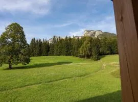 Ferienwohnung Trisselwand