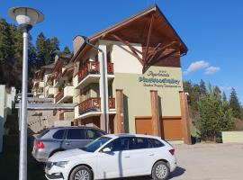 Apartment PineWood L&iacute;via, property with onsen in Vy&scaron;n&eacute; Ružbachy