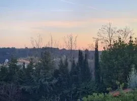 Logement neuf au calme avec jardin