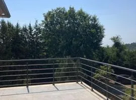 logement spacieux idéal pour famille