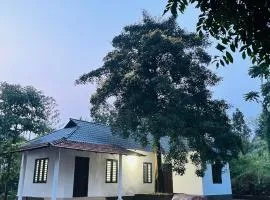 Mountain View room Paithalvillage