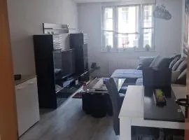 Gemütliches Apartment