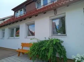 Ferienhaus Janett