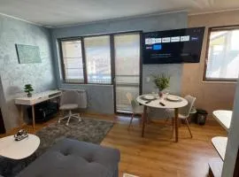 1-Bedroom apt - BathTub - 10mins from SkiLift Gondola - freeWiFi - WorkDesk - Central Heating - Full Kitchen at Edelweiss