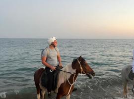 rodeo horse club, tapak perkhemahan di Altınkum