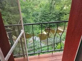 Стаи до реката