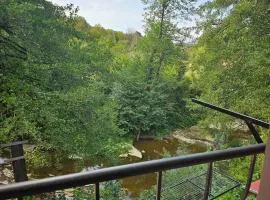 Стаи до реката