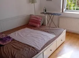 Na Bílé hoře