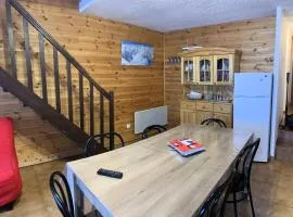 Résidence Gentianes - Duplex sur les pistes départ télésiège des escondus MAE-9721