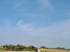 Le Terrier sur la dune de Tronoën