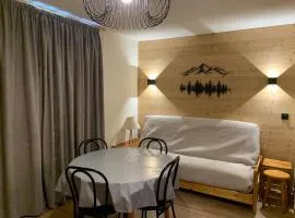 Charmant appart 2P cabine, rénové, balcon, parking gratuit, pied des pistes - FR-1-755-22