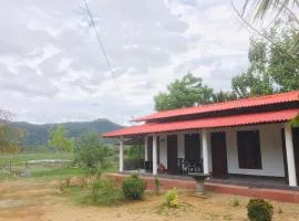 Lake View - Gayan Rest