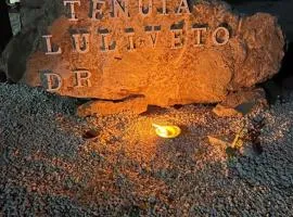 Tenuta L'uliveto