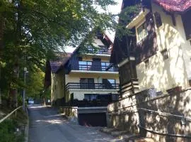 Apartament Kalinderu K1 Bușteni