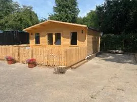 Oak Tree Cabin