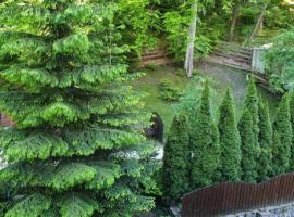 George Apartament Central cu gradina proprie, hotel que acepta mascotas en Sinaia