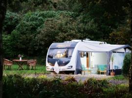 Pinetum Gardens Retreats, camping in St Austell