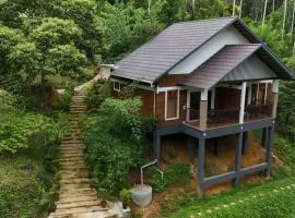 Casta Wild Resort