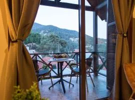 Cozy mountain apartment in Platres