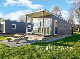 Chalet Babbelaar 6 - premium locatie