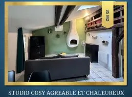 Studio Cosy au Coeur de Narbonne