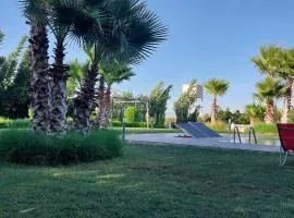 Domaine Farah