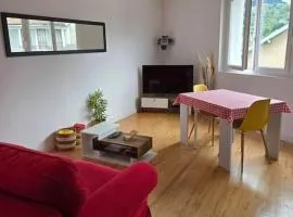 Appartement vue sur château fort de Lourdes