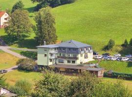 Hotel Gr&uuml;ner Baum mit Restaurant & Wellness, Wellnesshotel in Beerfelden