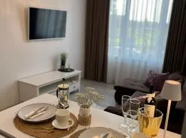 Chic Residence apartament 4