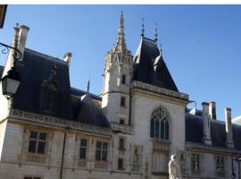 Chambre spacieuse chez l'habitant BOURGES，位于圣杜尔沙的酒店