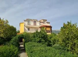 Apartmani Danja