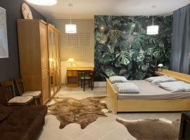 Muller's Residenz - Self Check in, hotel v destinaci Zwickau