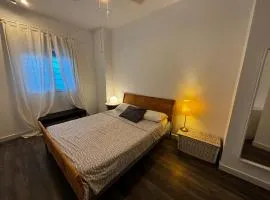 Pizarro 32 - I - A las puertas del campo talaverano