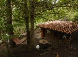 Etna Rural Cottage with Jacuzzi
