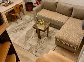 Vila Vasilisa