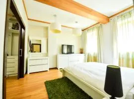 Luxury Apartment