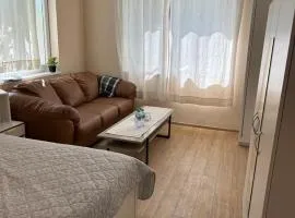 The Cozy House